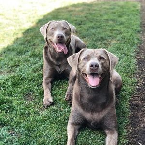 Meet your Posher, Jordan